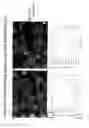 Fig. 07 - Podocyte cultures and uses thereof