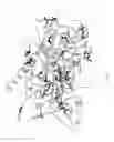 Fig. 02 - Mutant enzymes