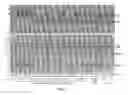 Fig. 07 - PROCESS FOR MAKING RECOMBINANT ANTIDOTE TO FACTOR XA INHIBITOR