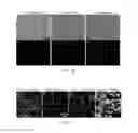Fig. 07 - Method for engineering three-dimensional synthetic vascular networks through mechanical micromachining and mutable polymer micromolding