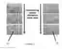 Fig. 04 - Galvanotaxis assay for quantitative assessment of the metastatic potential of cancer cells