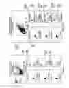 Fig. 02 - Procedure for the specific isolation of total DNA content of bacterial germs and a kit for this purpose