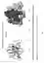 Fig. 02 - Scaffolded peptidic libraries and methods of making and screening the same