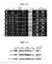 Fig. 09 - Promoters and methods thereof