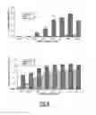 Fig. 07 - Cell-Free Translation System