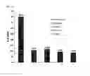Fig. 02 - Analytical method for increasing susceptibility of molecular targeted therapy in hepatocellular carcinoma