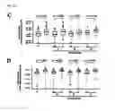 Fig. 04 - Analytical method for increasing susceptibility of molecular targeted therapy in hepatocellular carcinoma