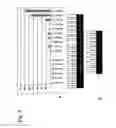 Fig. 09 - Identification of tumor-associated cell surface antigens for diagnosis and therapy