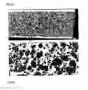 Fig. 04 - Metal matrix composite and method of forming