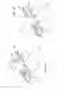 Fig. 07 - Ceiling panel