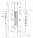 Fig. 06 - Monopole tower reinforcement configuration and related methods