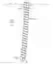 Fig. 01 - Vertical-screw-auger conveyer feeder