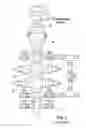 Fig. 02 - Annular drilling device