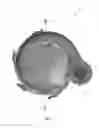 Fig. 04 - Submersible pump