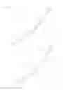 Fig. 06 - Sliding parts