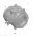 Fig. 02 - Ball Valve and Method of Operating the Same