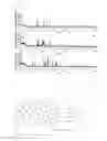 Fig. 04 - Bluish green phosphor and light emitting device package including the same