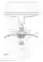 Fig. 08 - Lamp retrofitting assembly