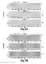 Fig. 06 - Apparatuses, systems, and methods of variable frequency drive operation and control