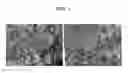 Fig. 02 - Dispersive micro solid phase extraction of polycyclic aromatic hydrocarbons from an aqueous sample
