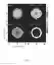 Fig. 07 - System and method for fluorescence detection