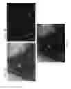 Fig. 08 - HIGH THROUGHPUT SCREENING OF AGENTS ON DOPAMINERGIC NEURONS