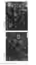 Fig. 09 - HIGH THROUGHPUT SCREENING OF AGENTS ON DOPAMINERGIC NEURONS