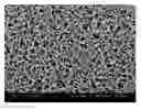 Fig. 01 - MEDICAL DIAGNOSTIC TEST SYSTEMS, AND A MATRIX THEREFOR