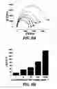 Fig. 08 - Cell-free biofragment compositions and related systems, devices, and methods