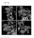 Fig. 20 - Molecule library constructed on the basis of backbone structure of microprotein