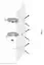 Fig. 03 - Systems and methods for high throughput analysis of conformation in biological entities