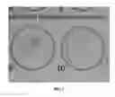 Fig. 02 - Serological methods and diagnostic tests for syphilis antibodies