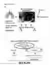 Fig. 10 - Methods and compositions for assessing lung grafts