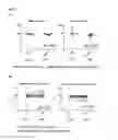 Fig. 12 - Methods and compositions for assessing lung grafts