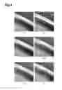 Fig. 05 - Electric field concentration location observation device and electric field concentration location observation method
