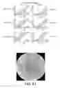 Fig. 46 - Magnetic microstructures for magnetic resonance imaging
