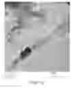 Fig. 48 - Magnetic microstructures for magnetic resonance imaging