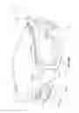 Fig. 02 - GAZE DETECTING HEADS-UP DISPLAY SYSTEMS