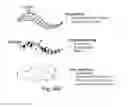 Fig. 68 - Method and system for ink data generation, ink data rendering, ink data manipulation and ink data communication