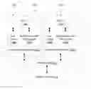 Fig. 01 - Collecting transactional execution characteristics during transactional execution
