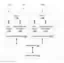 Fig. 01 - Collecting memory operand access characteristics during transactional execution