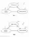 Fig. 02 - UNIVERSAL MEDICAL ACCESS CARD SYSTEM AND PROCESS THEREOF
