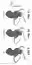 Fig. 08 - Systems and methods for determining and visualizing perfusion of myocardial muscle