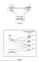 Fig. 02 - TRADING USING INTERMEDIATE ENTITIES