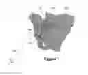 Fig. 02 - Method and device for determining the orientation of a co-ordinate system of an anatomical object in a global co-ordinate system