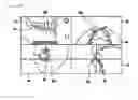 Fig. 13 - Image display to display 3D image and sectional images