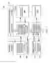 Fig. 06 - MOBILE TILE RENDERER FOR VECTOR DATA