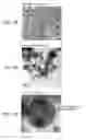 Fig. 07 - Method for producing magnetic particles, magnetic particles, and magnetic body