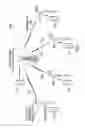 Fig. 02 - Code block segmentation and configuration for concatenated turbo and RS coding