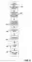 Fig. 07 - Optimization of enhanced network links